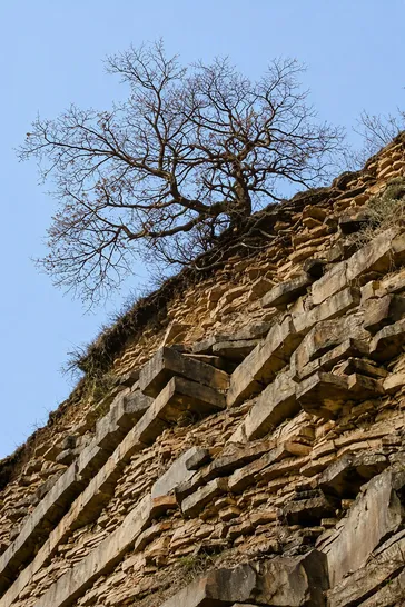 Strati di flysch fortemente inclinati sul fronte di cava